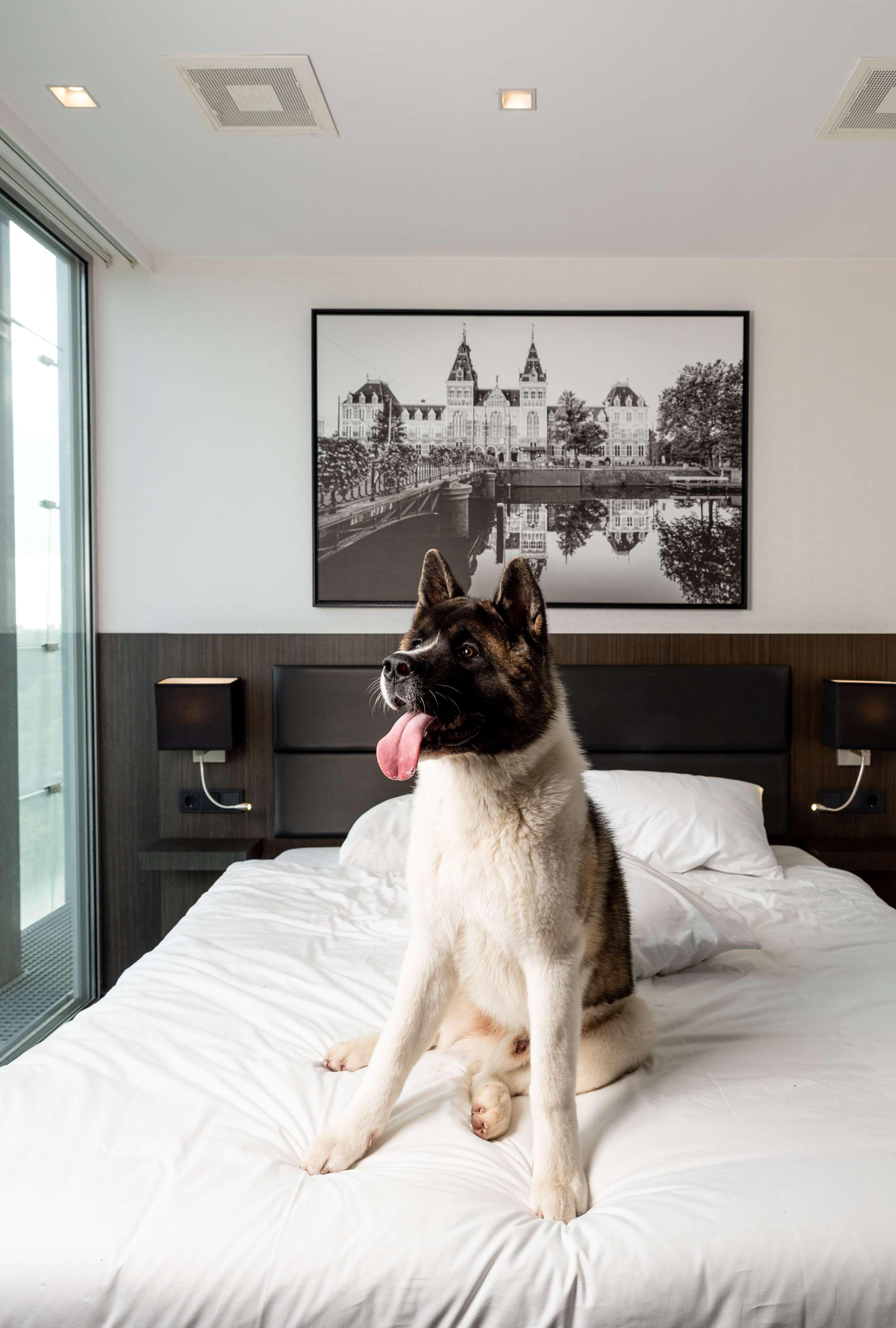 Radisson Hotel And Suites Amsterdam South Екстериор снимка